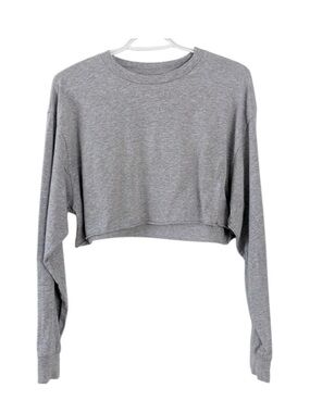 TNA / Aritzia - Athletic Gray Cropped Long-Sleeve Tee. Size: M